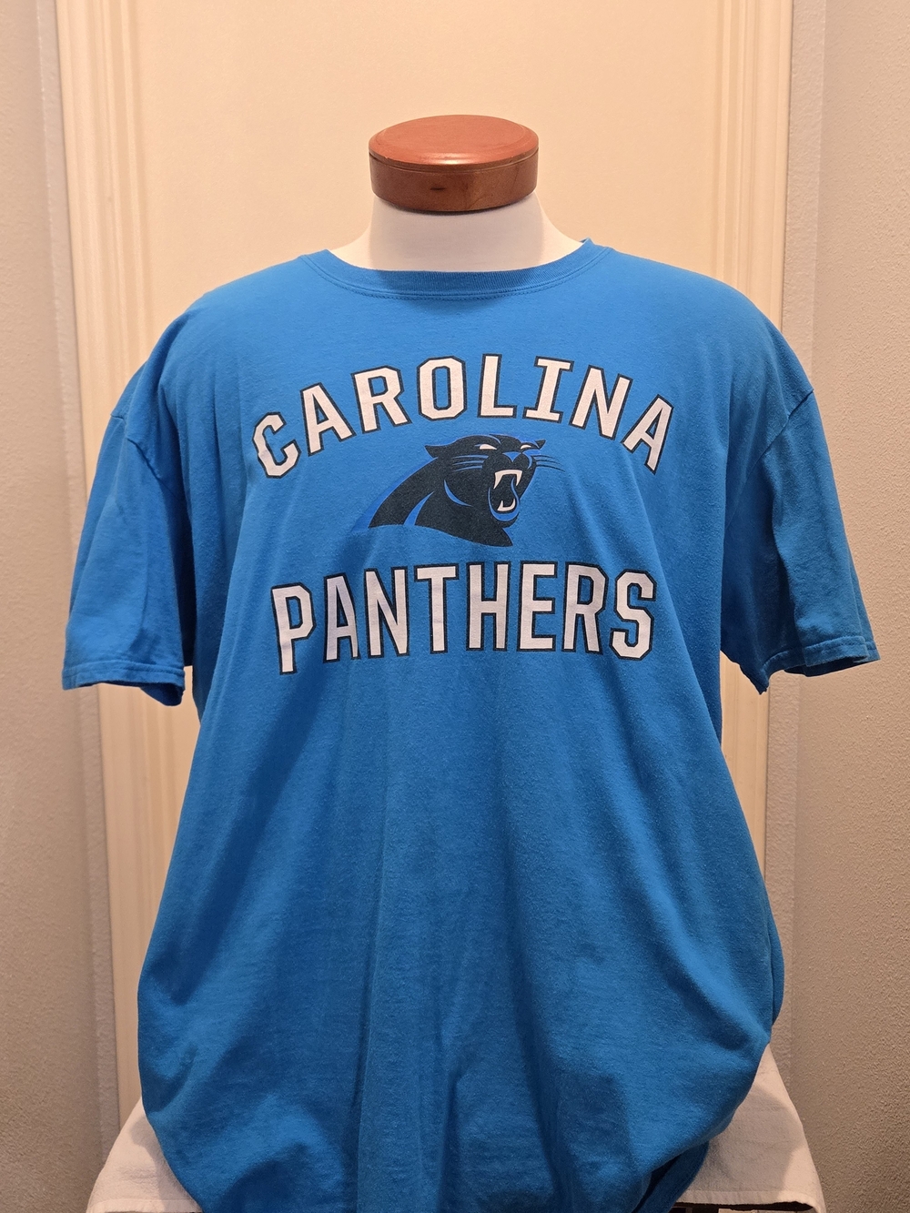 Fanatics Carolina Panthers Teal Blue Graphic Tee